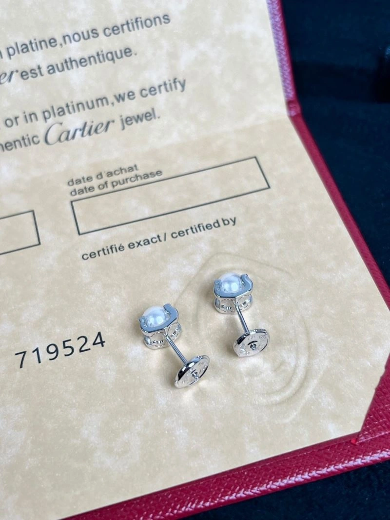 Louis Vuitton Earrings DailyWear 250081