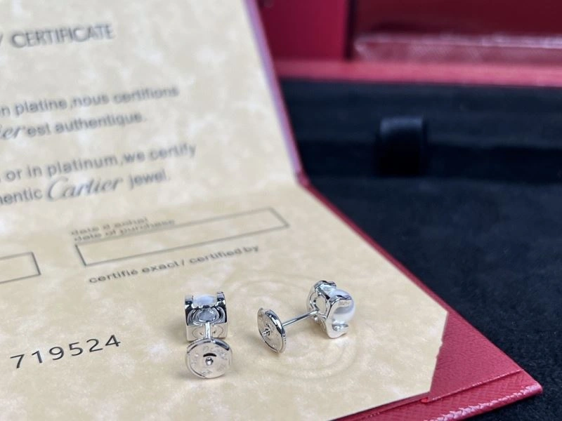 Louis Vuitton Earrings DailyWear 250081