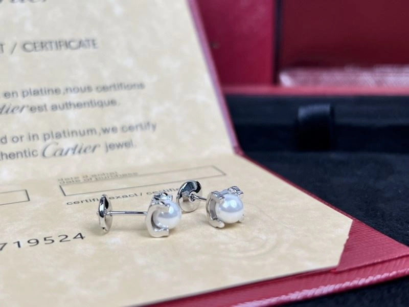 Louis Vuitton Earrings DailyWear 250081