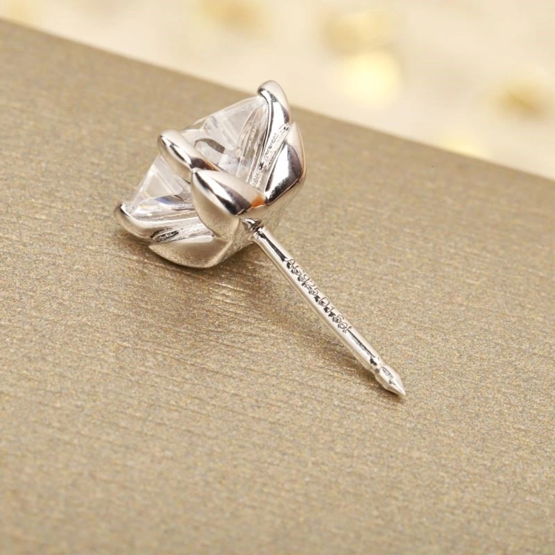 Louis Vuitton Earrings Attractive 249833