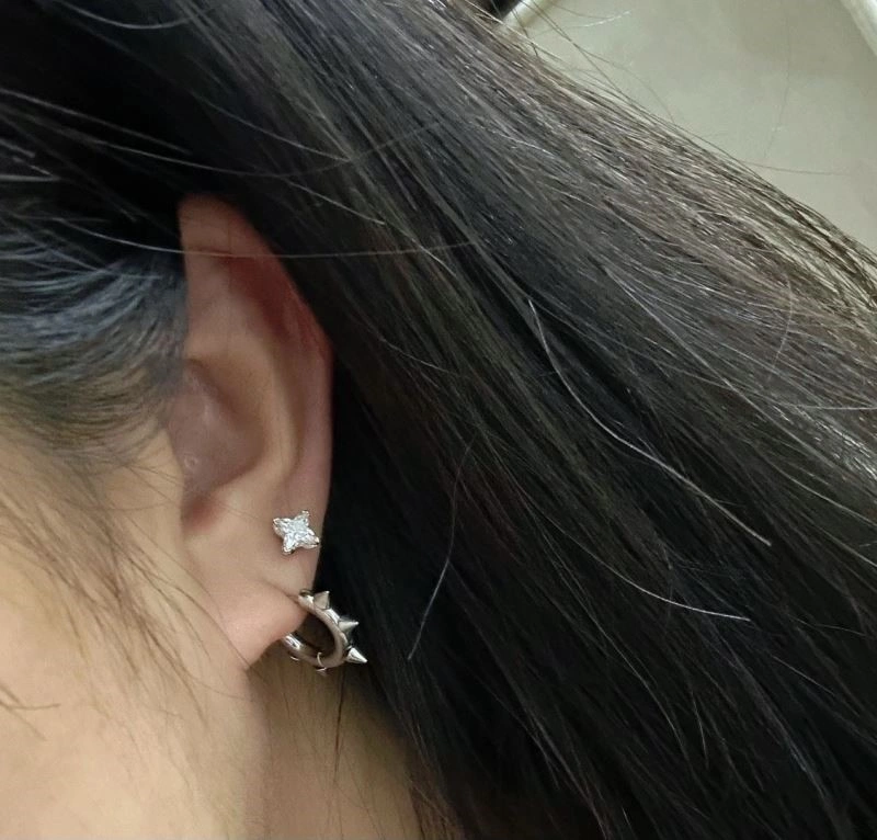 Louis Vuitton Earrings Attractive 249833