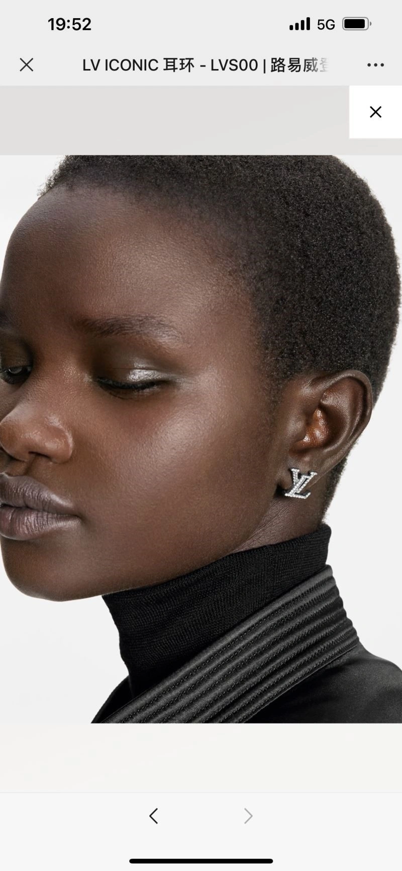 Louis Vuitton Earrings Youthful 249810