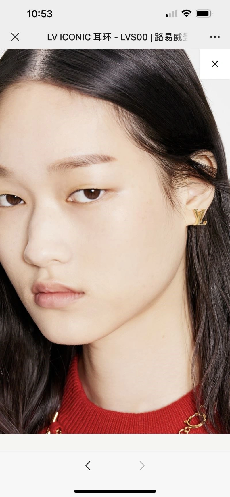 Premium Louis Vuitton Earrings 249811
