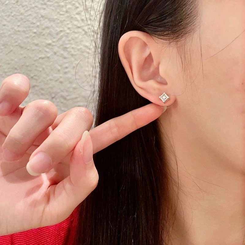 Resilient Louis Vuitton Earrings 249795