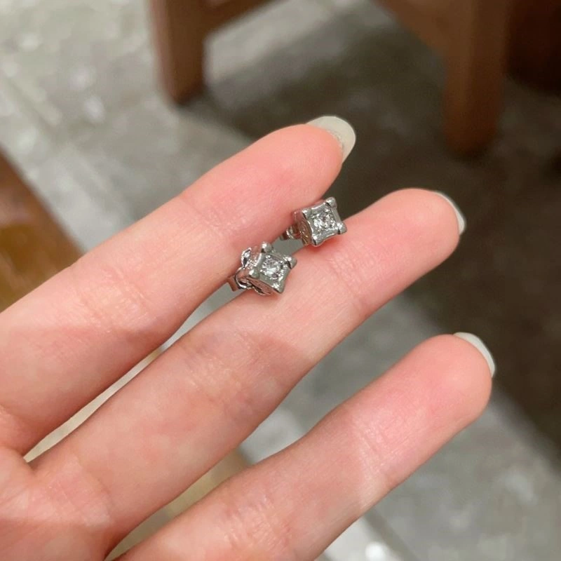Resilient Louis Vuitton Earrings 249795