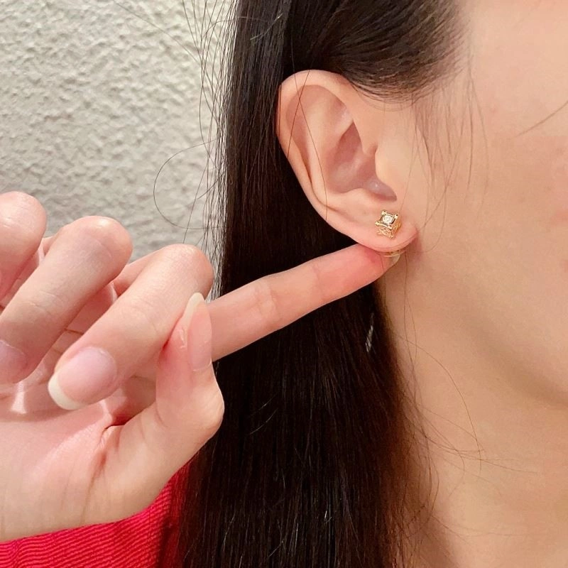 Cozy Louis Vuitton Earrings 249819