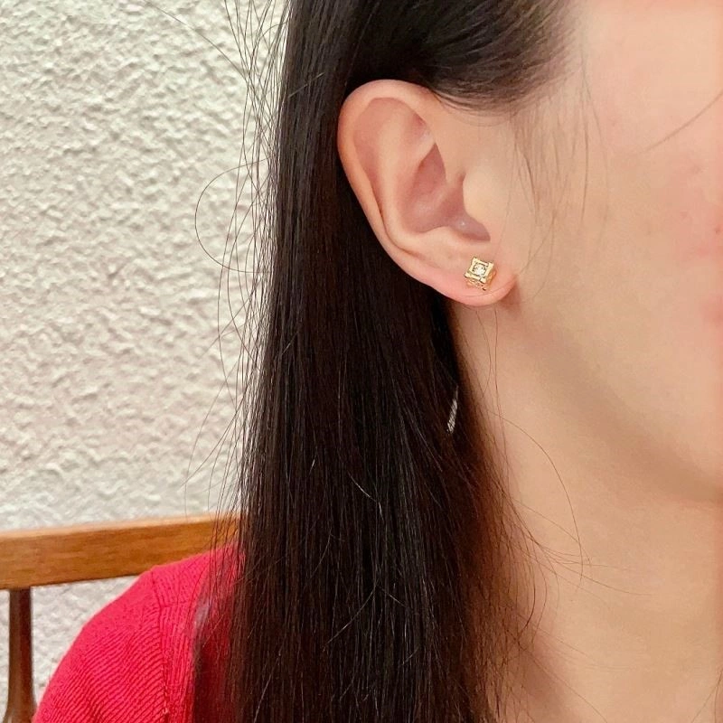 Cozy Louis Vuitton Earrings 249819