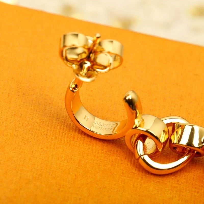 Louis Vuitton Earrings DailyWear 249793