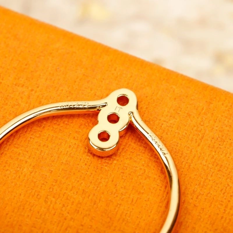 Louis Vuitton Earrings Classic 249803