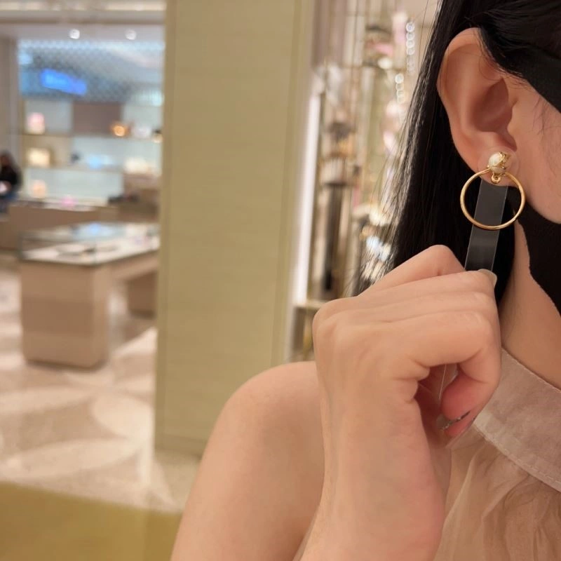Louis Vuitton Earrings Classic 249803