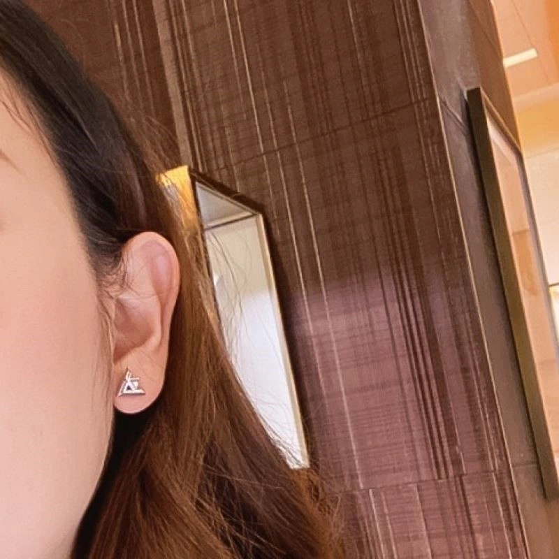 QuickDry Louis Vuitton Earrings 249787