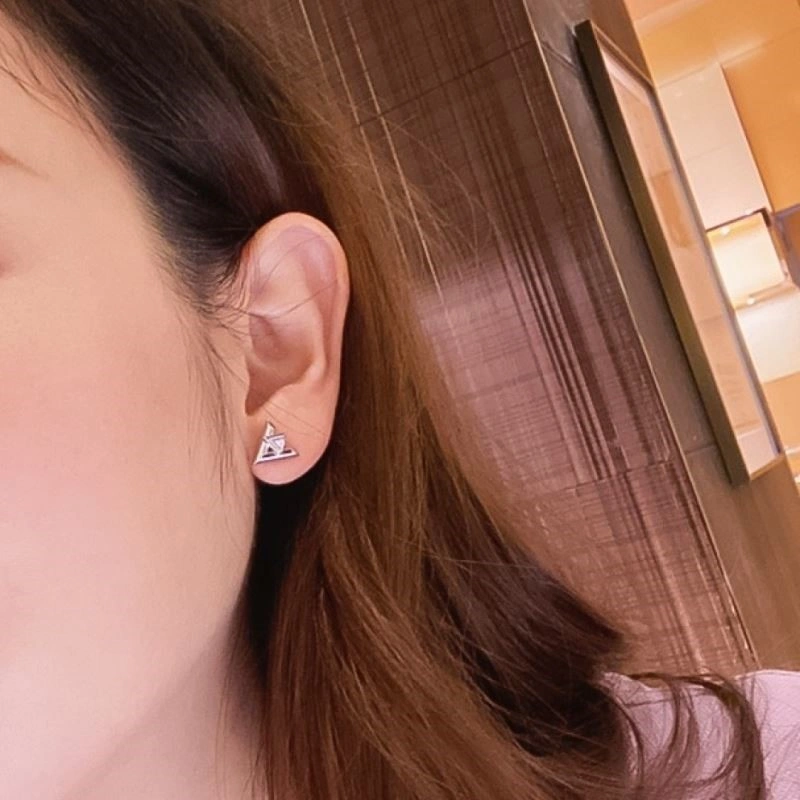 QuickDry Louis Vuitton Earrings 249787