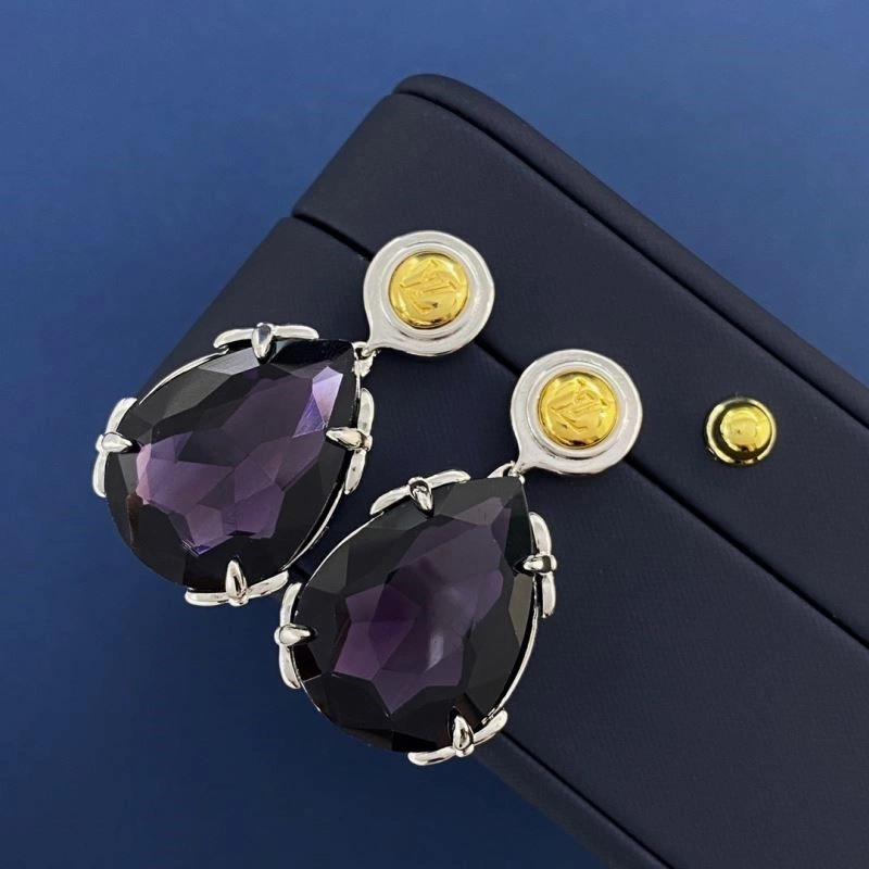 Louis Vuitton Earrings Chic 249456