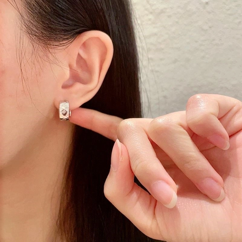Louis Vuitton Earrings AllSeason 249053