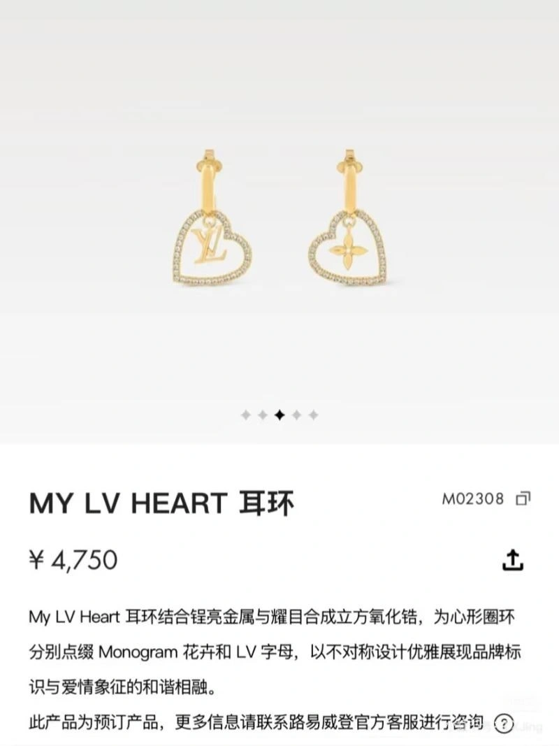 Louis Vuitton Earrings Fashionable 249039