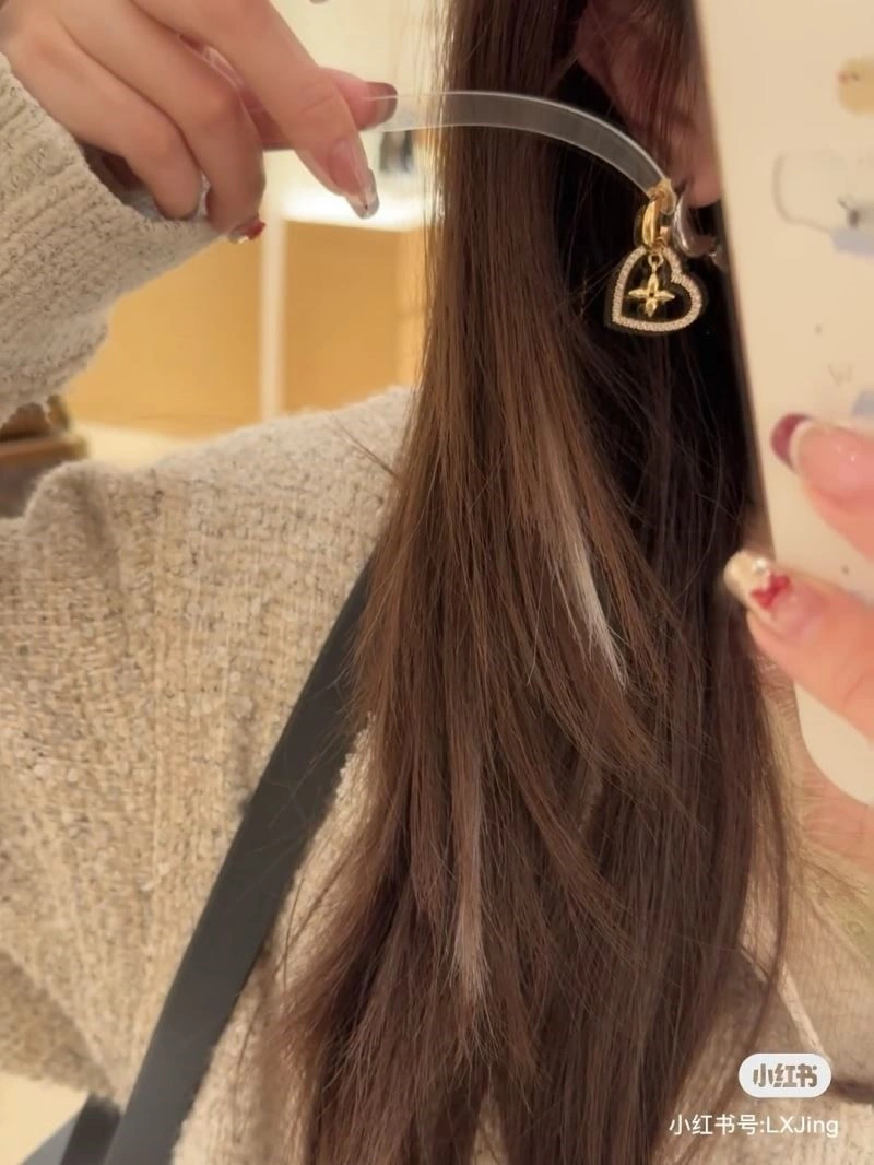 Louis Vuitton Earrings Fashionable 249039