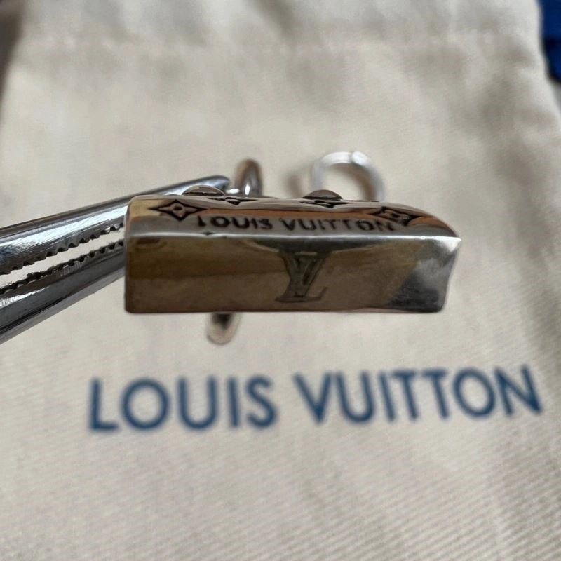 Sleek Louis Vuitton Earrings 249044