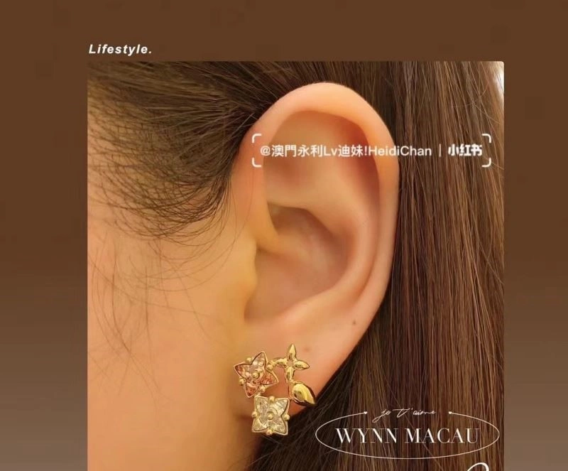 Casual Louis Vuitton Earrings 249040