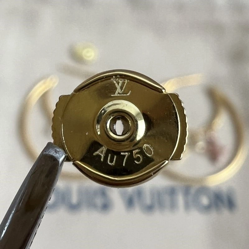 Louis Vuitton Earrings Snug 249024