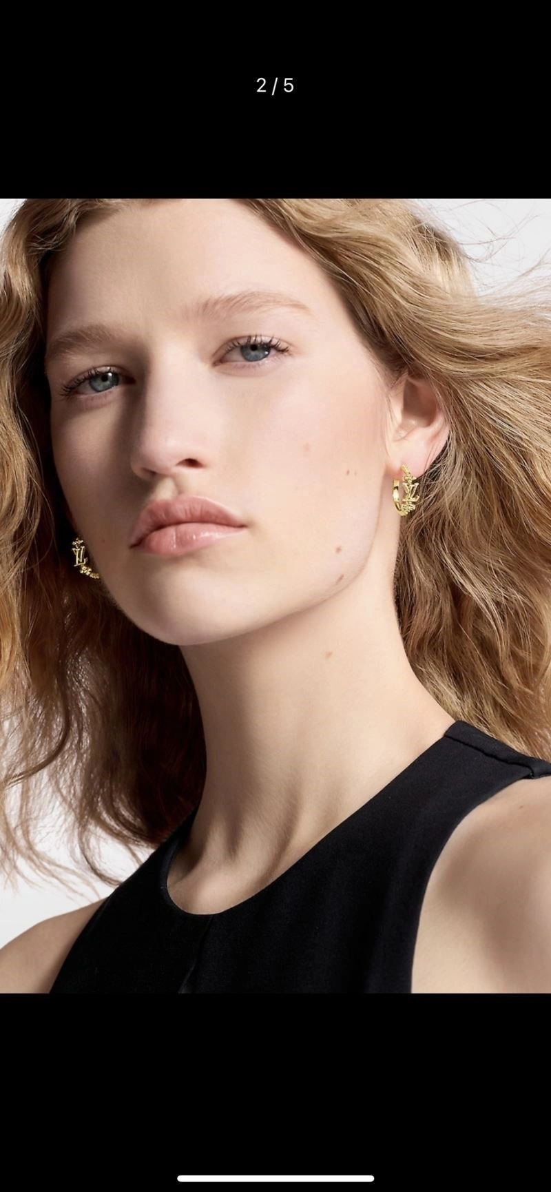 Louis Vuitton Earrings Practical 249002