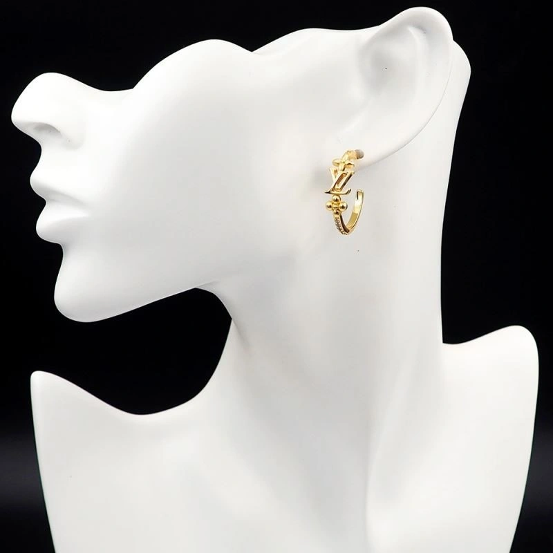 Louis Vuitton Earrings Practical 249002