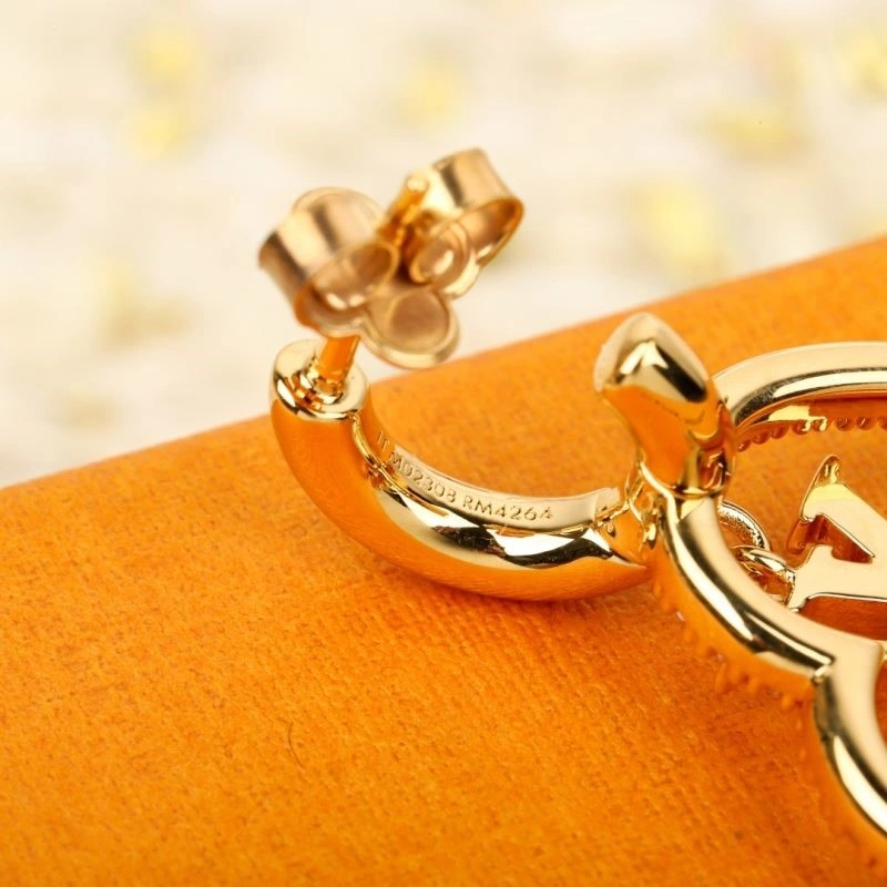 Louis Vuitton Earrings Affordable 249008