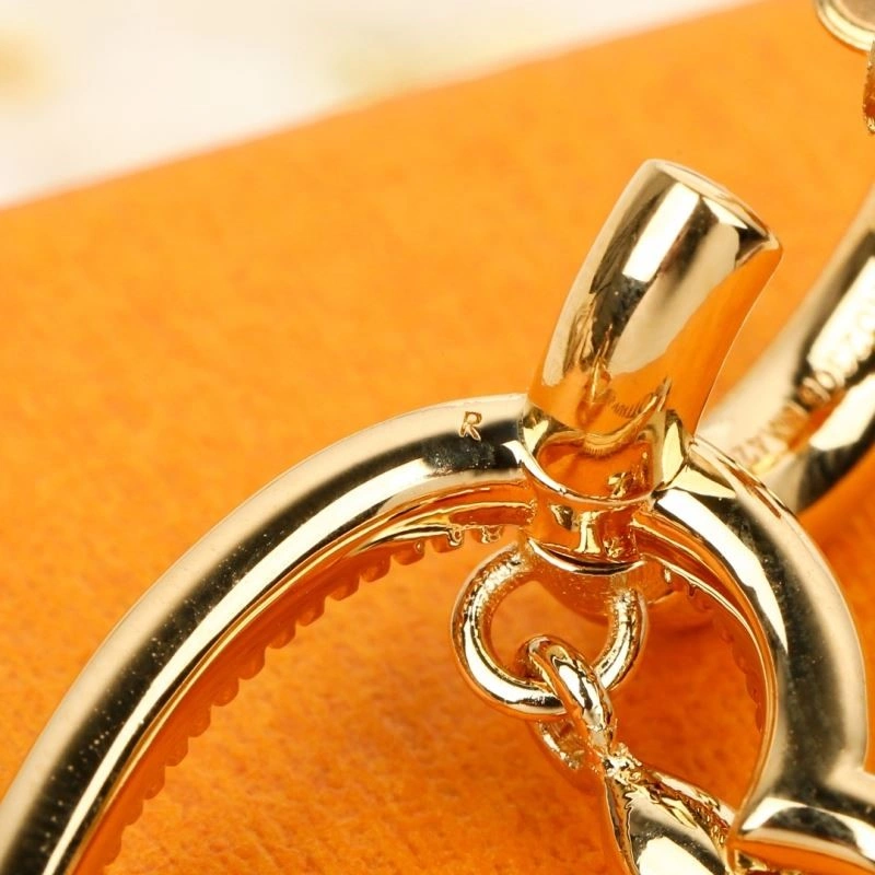 Louis Vuitton Earrings Affordable 249008