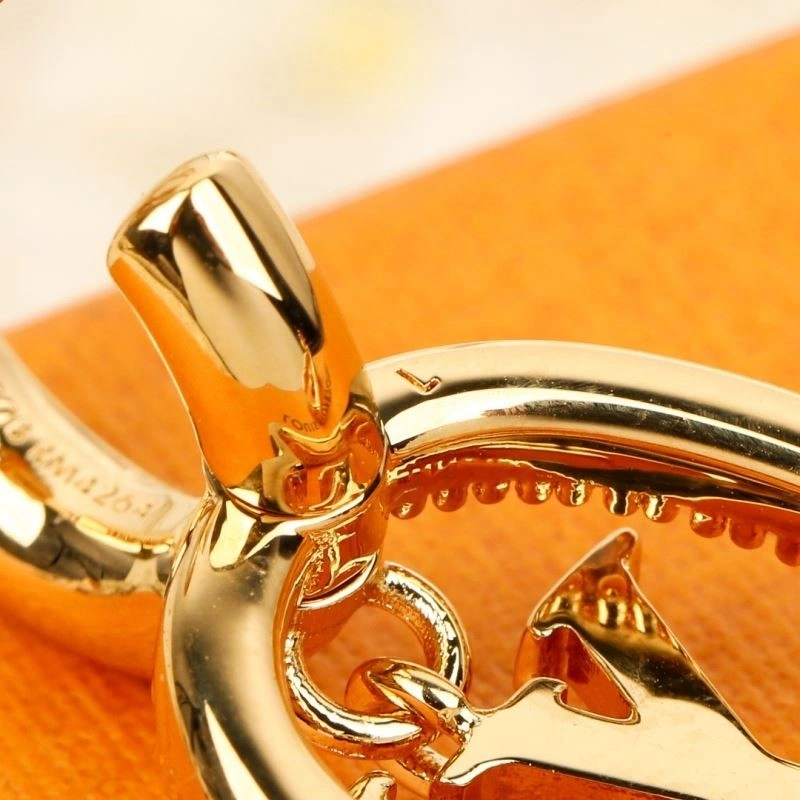 Louis Vuitton Earrings Affordable 249008