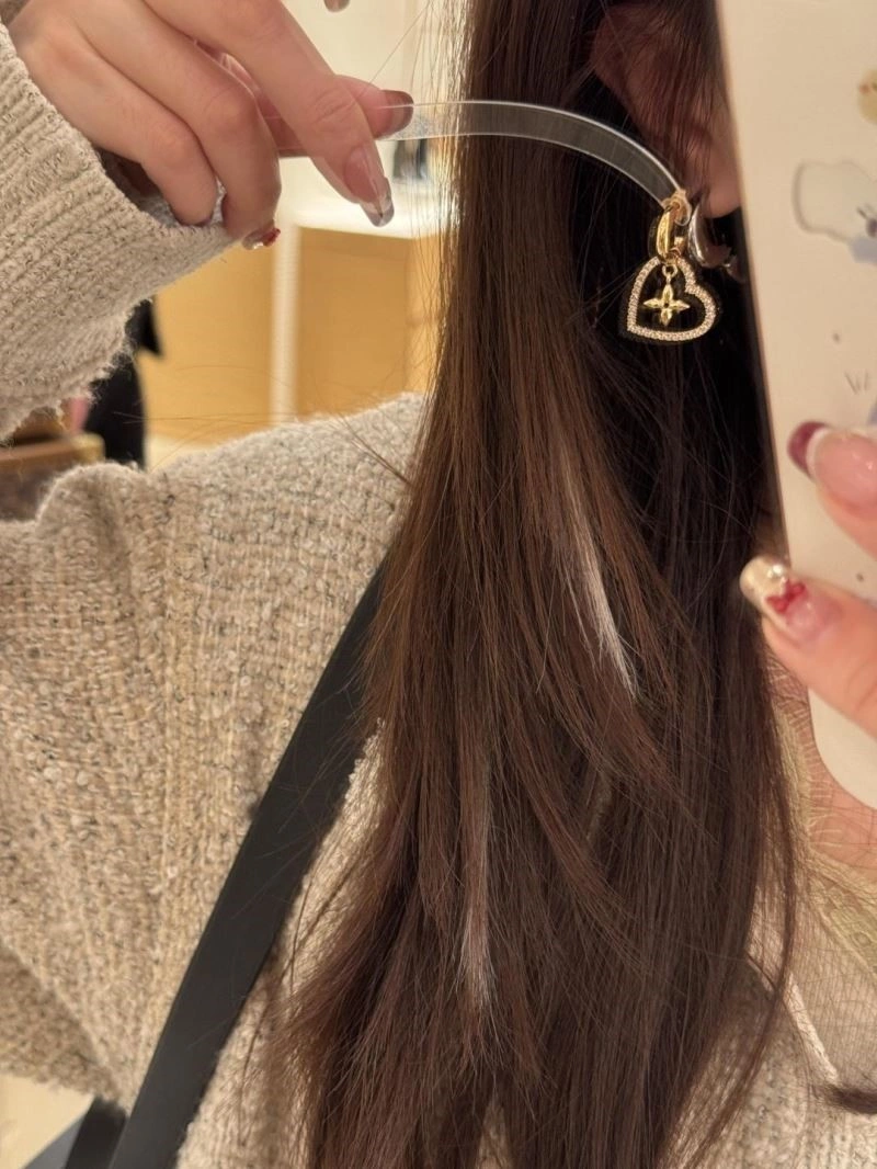 Louis Vuitton Earrings Affordable 249008