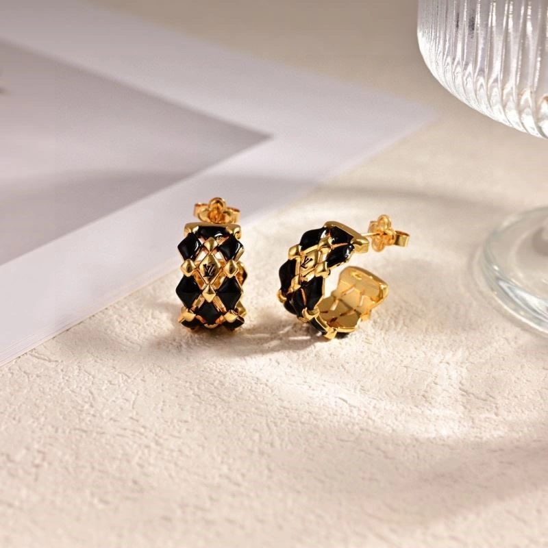 MultiPurpose Louis Vuitton Earrings 248651