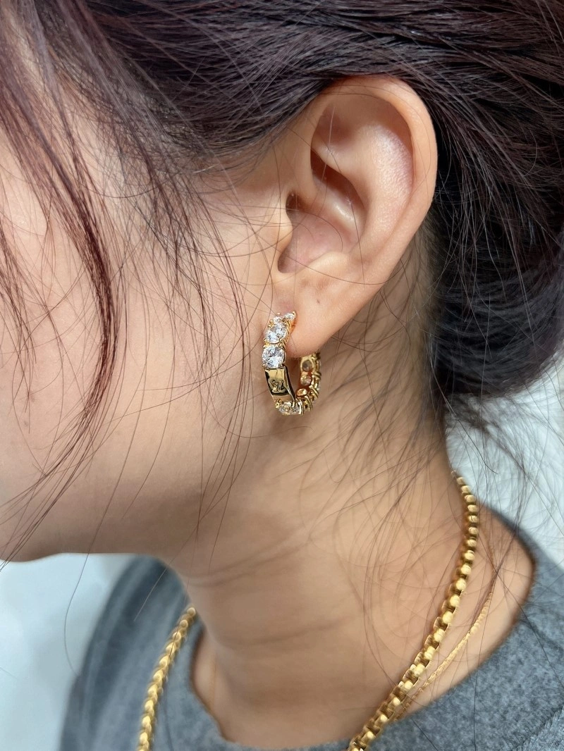 Louis Vuitton Earrings FlexibleFit 248612