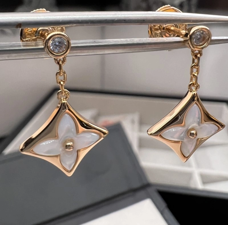 Sporty Louis Vuitton Earrings 248578