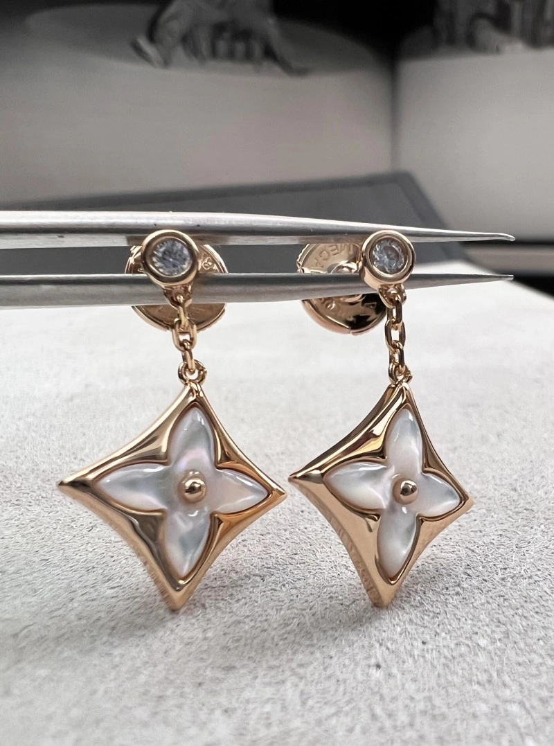 Sporty Louis Vuitton Earrings 248578