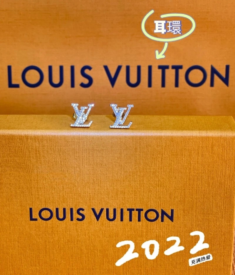 MultiPurpose Louis Vuitton Earrings 248565