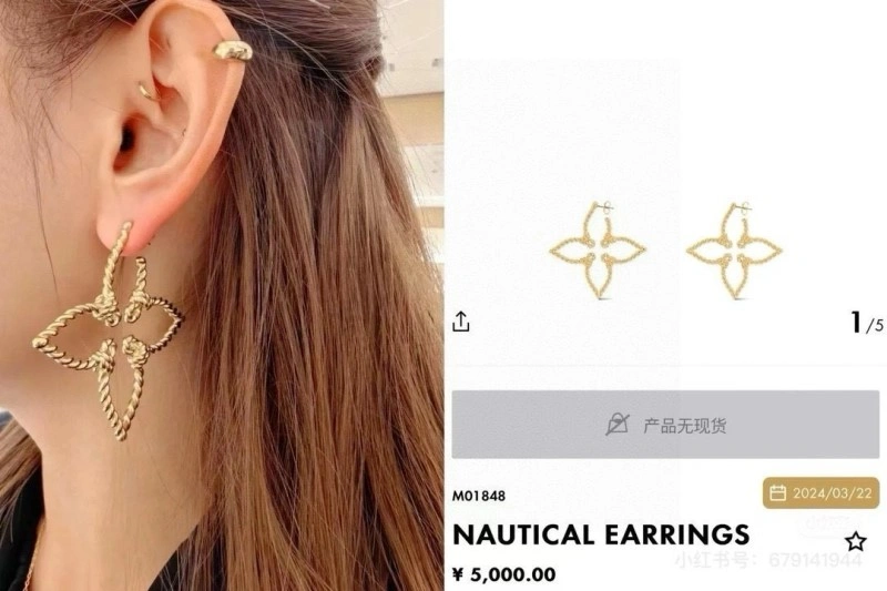 Comfortable Louis Vuitton Earrings 248119