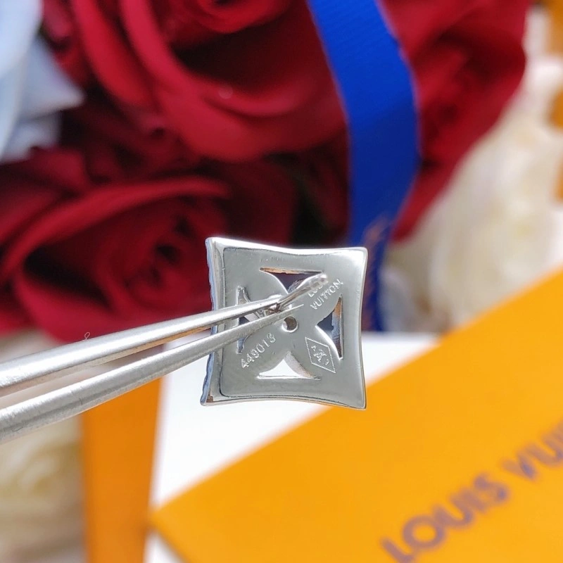 Sporty Louis Vuitton Earrings 248087