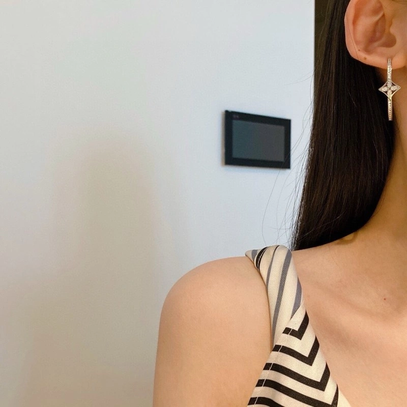 MultiPurpose Louis Vuitton Earrings 248082
