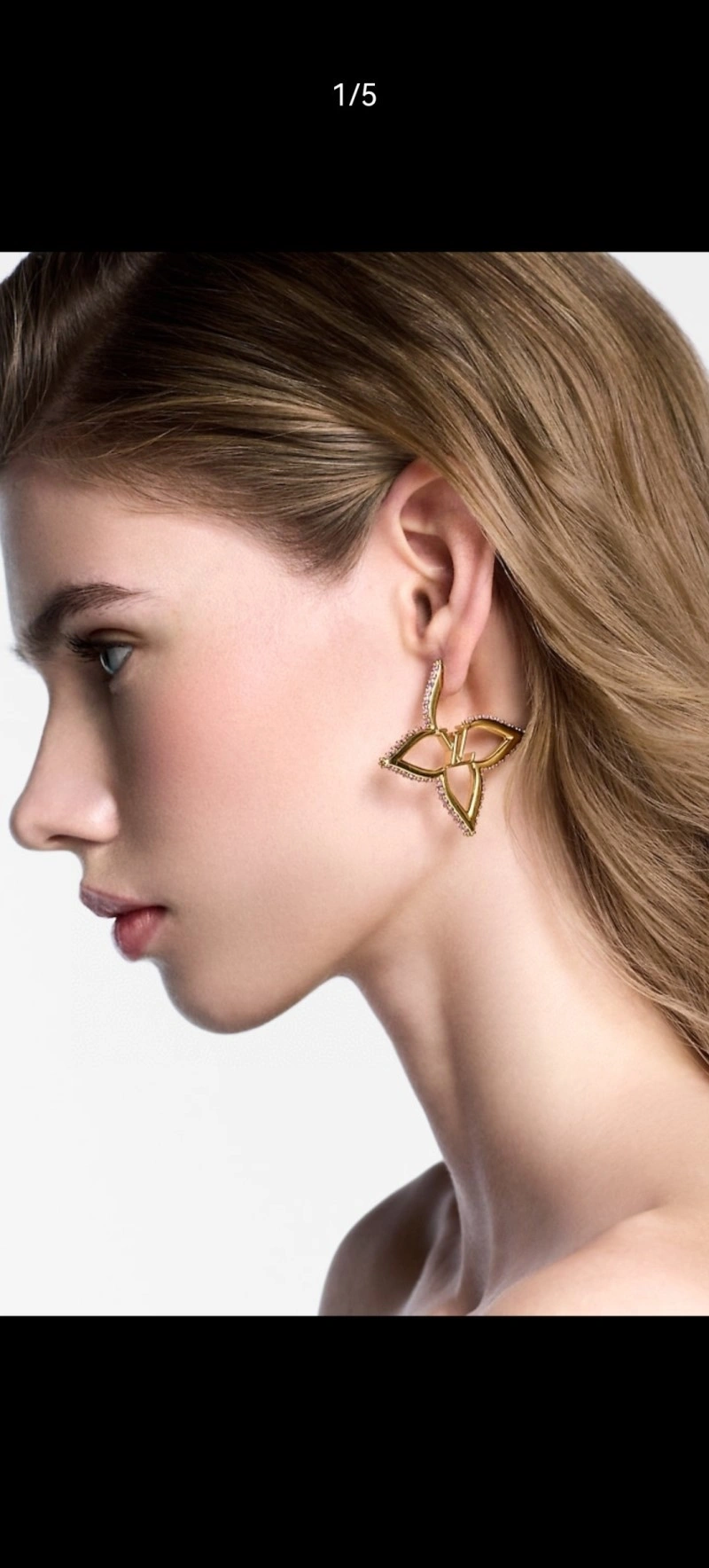 Louis Vuitton Earrings WellDesigned 248045