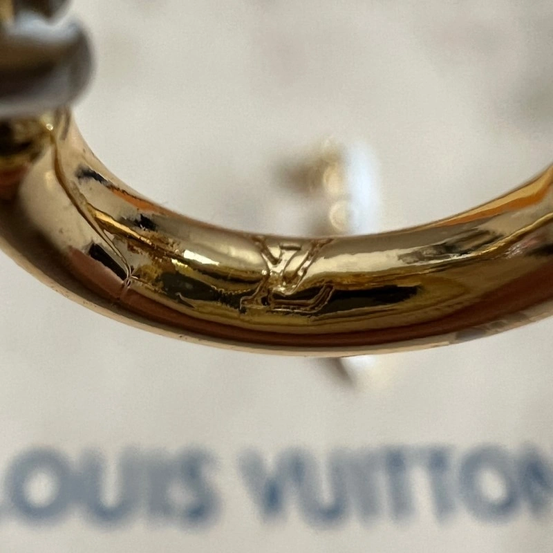 Louis Vuitton Earrings Bright 248001