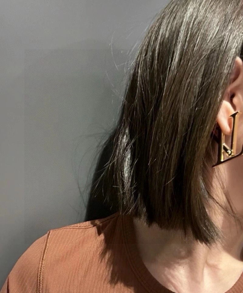 Louis Vuitton Earrings Popular 247999
