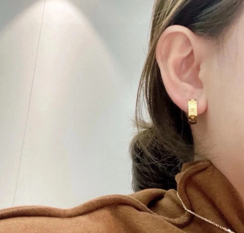 Reliable Louis Vuitton Earrings 247984