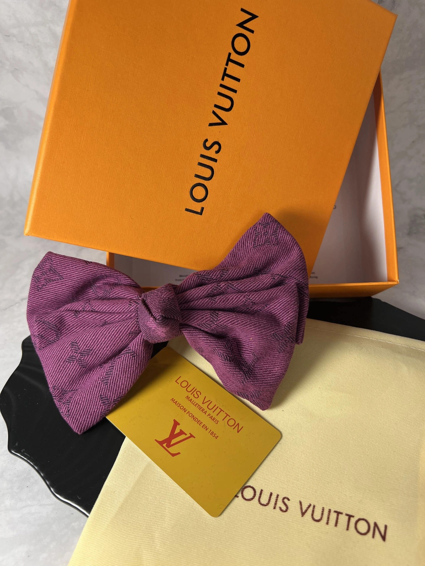 Unique Louis Vuitton Hairpins 247924