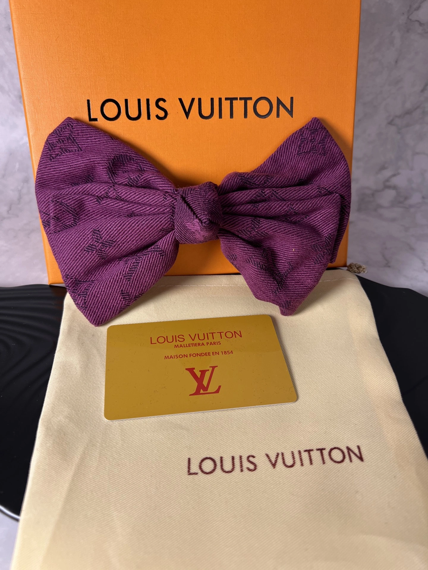 Unique Louis Vuitton Hairpins 247924