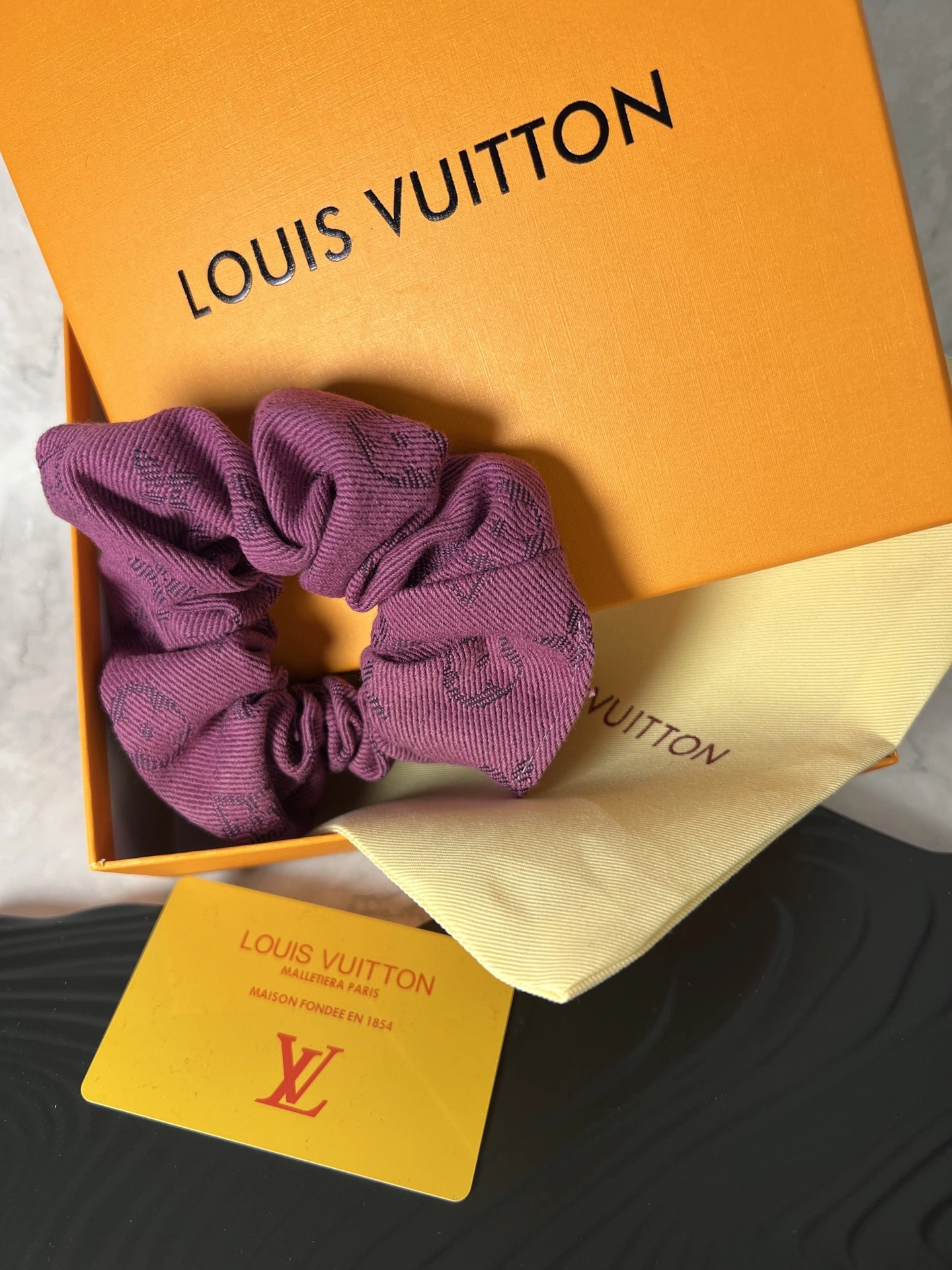 Unique Louis Vuitton Hairpins 247924
