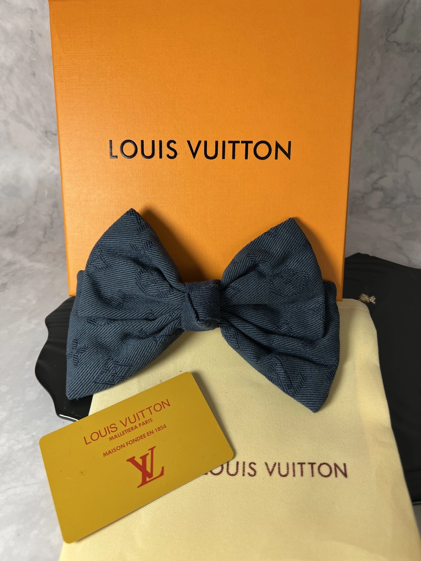 Louis Vuitton Hairpins HighPerformance 247926
