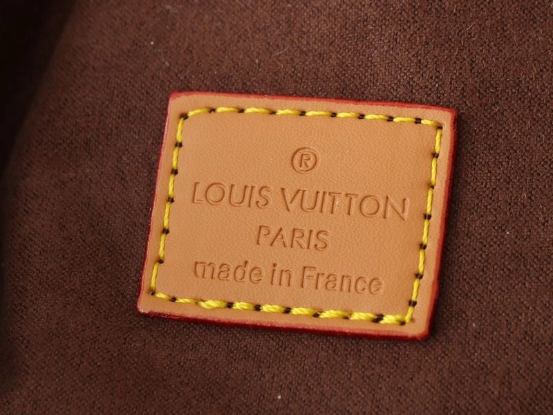 Louis Vuitton Hobo Bags FlexibleFit 80455