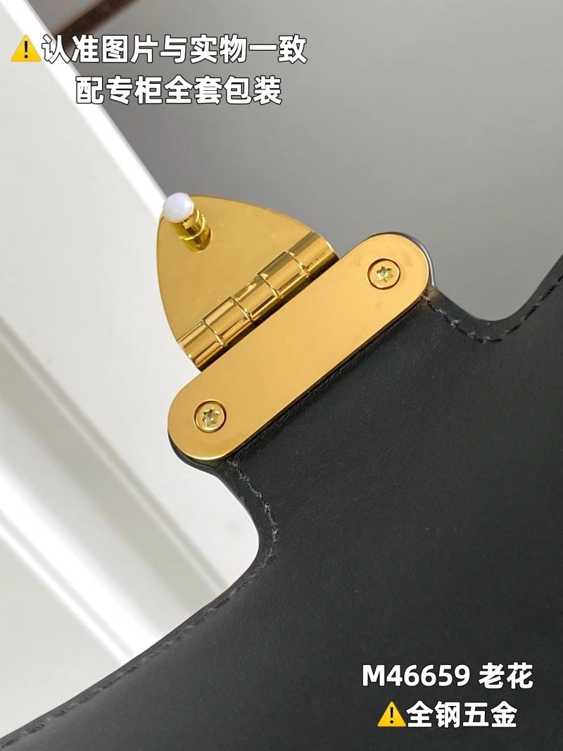 Trendsetting Louis Vuitton Hobo Bags 94050