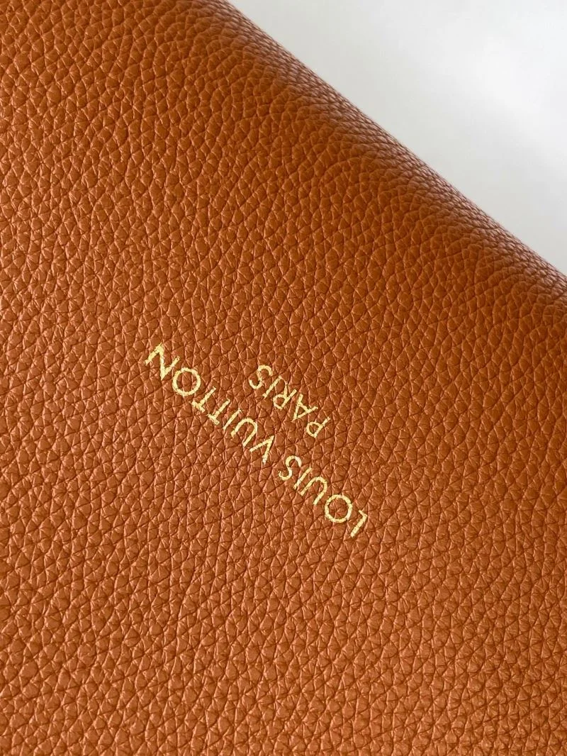 Louis Vuitton Hobo Bags FastDry 42881