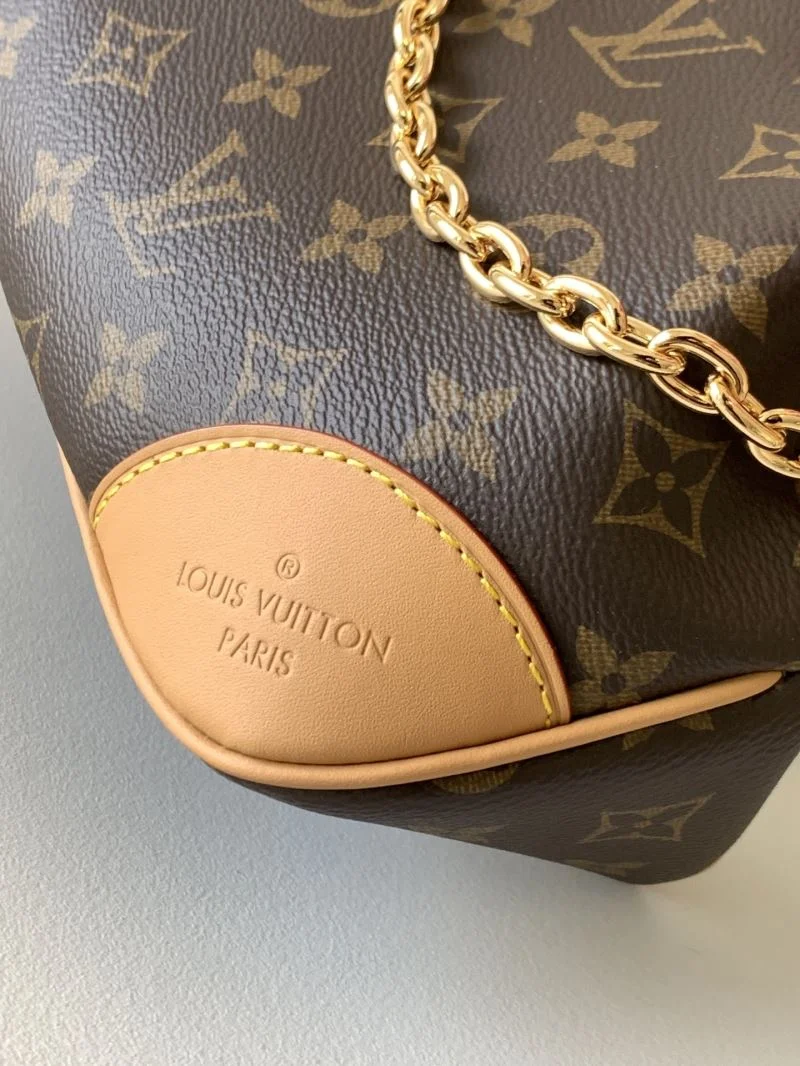 Louis Vuitton Hobo Bags Supportive 42882