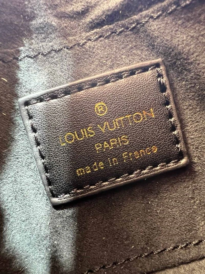 Louis Vuitton Hobo Bags TopPick 80257